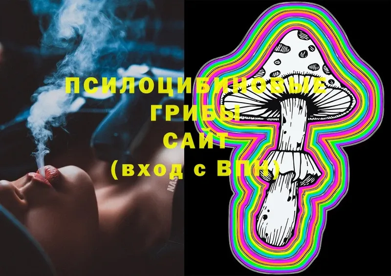 Псилоцибиновые грибы Psilocybe  Балей 